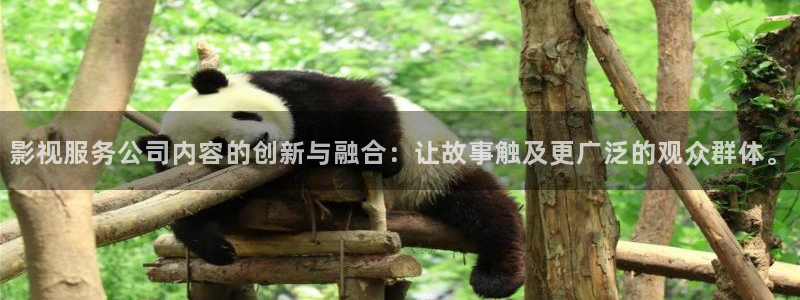 5g影院天天爽网站